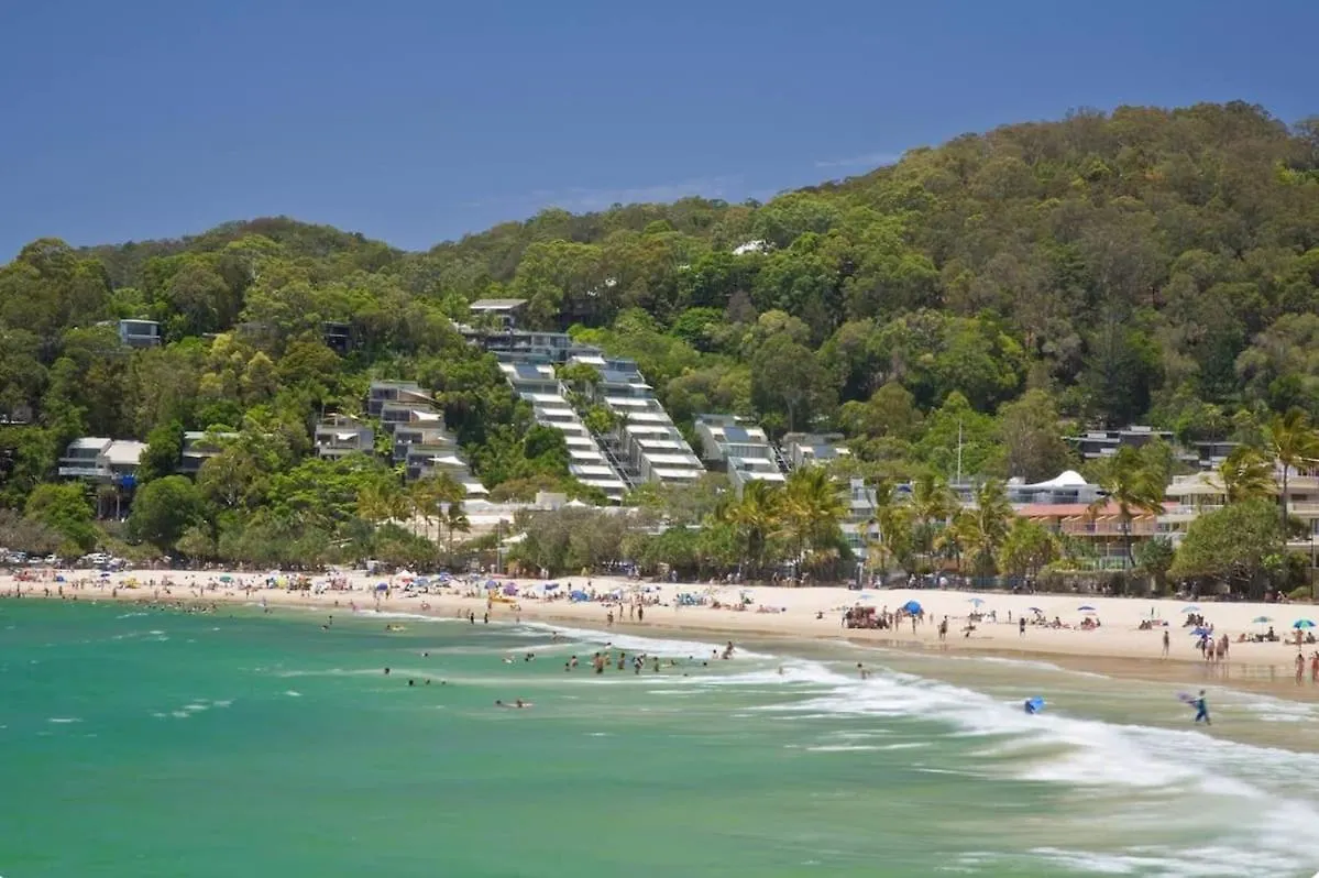 Treetop Luxury - Beautiful Peppers Resort Noosa Heads